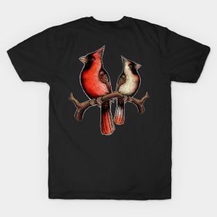 Red Cardinal bird male female T-Shirt